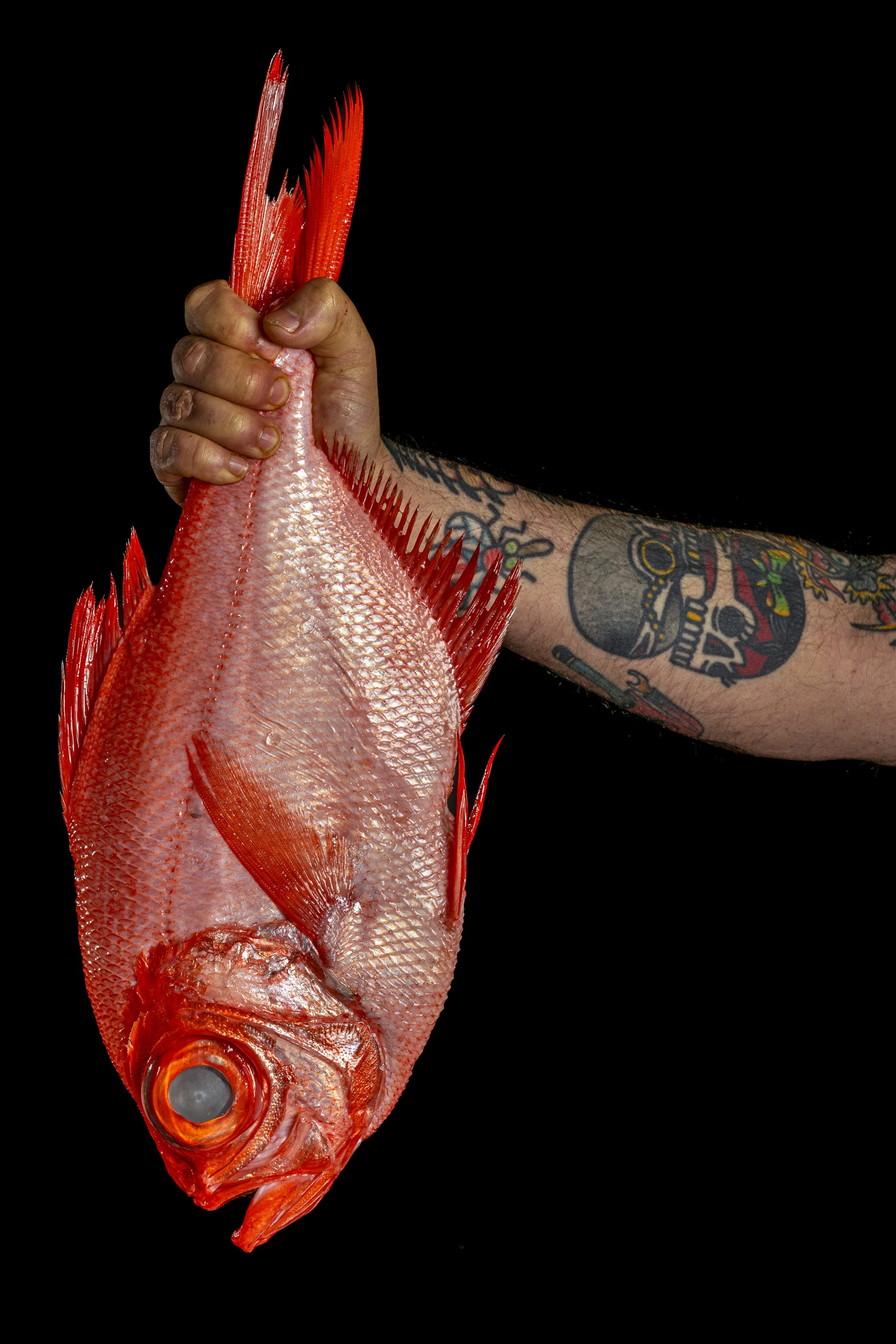 Pescado_mano_David_Laredo